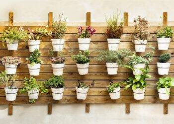 Vertical Garden Ideas That Will Change Your Gardening Perspective