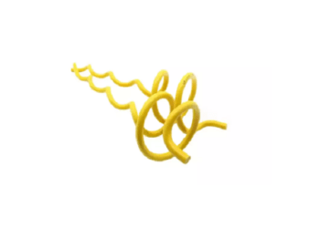 Things To Know Bird Diverters