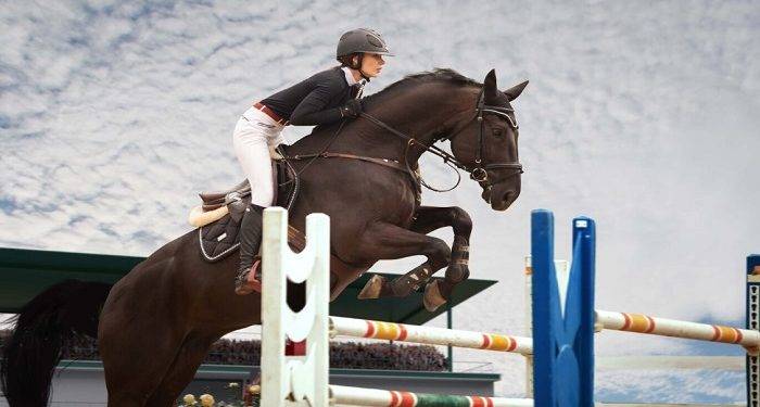 Equestrians Need To Have These Versatile Plastic Show-Jump Poles