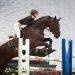 Equestrians Need To Have These Versatile Plastic Show-Jump Poles