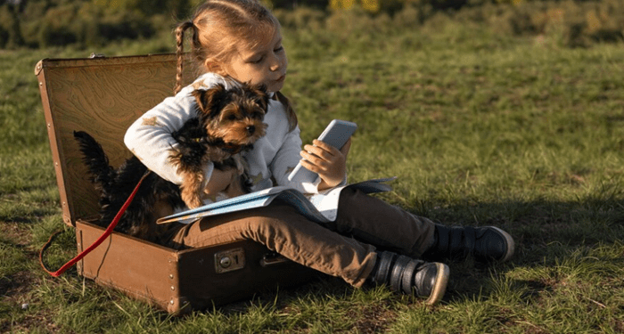 The Ultimate Guide to Puppy Training Austin: Tips and Tricks for Success