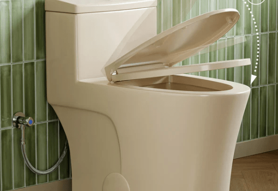 Elevate Your Bathroom with the Horow T0338WBC One-Piece Toilet